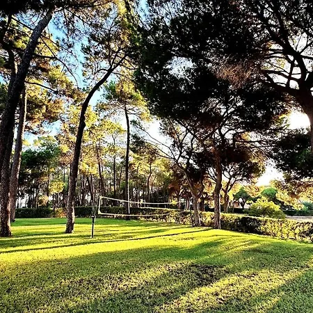 With Bbq And Pool In Vilamoura * Quarteira