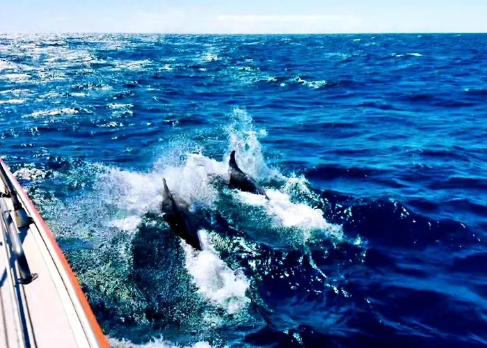 Prázdninový dům With Bbq And Pool In Vilamoura Quarteira