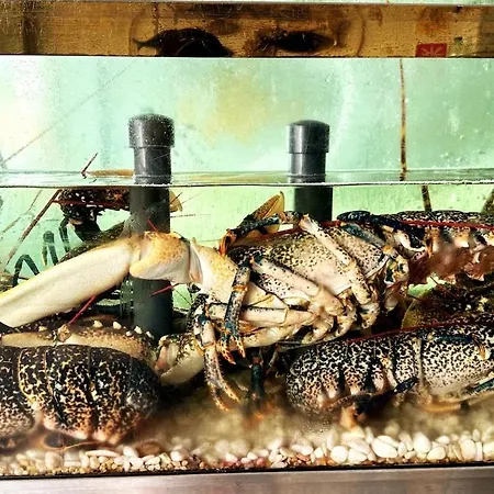 With Bbq And Pool In Vilamoura Дом отдыха *